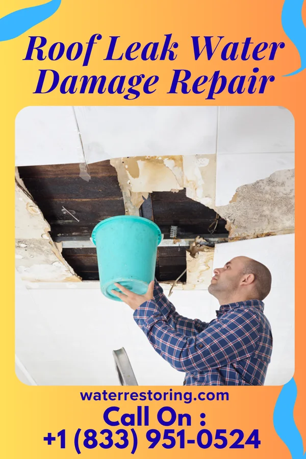 Roof Leak Water Damage Repair in Charter Oak, IA